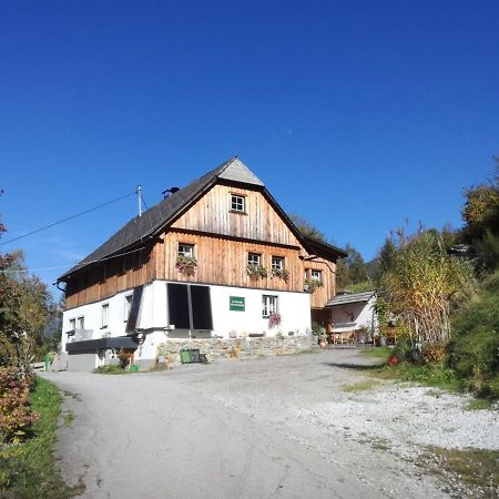 Landhaus Gschmeidler Selzthal Экстерьер фото